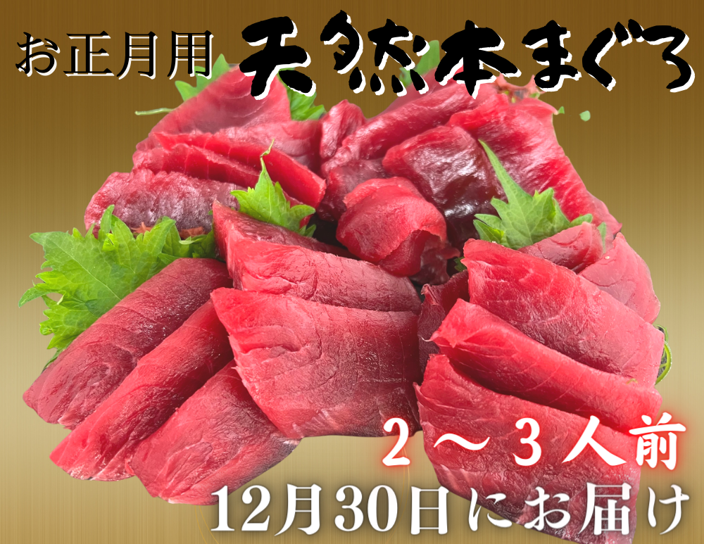 【お正月用】本まぐろ赤身2柵（2025年12月30日にお届け）2〜3人前　M005-037