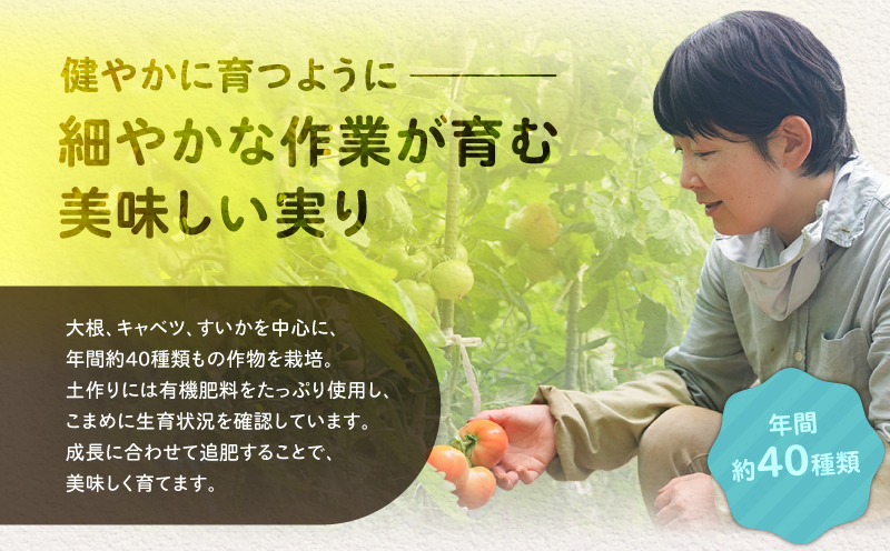 å£ç¯ã®ãžã£ã ããã¯ã«ã¹ããã¬ãã·ã³ã°è©°åã ã®ããç®±å
¥ãïŒé«æ¢šèŸ²åïŒãM010-001