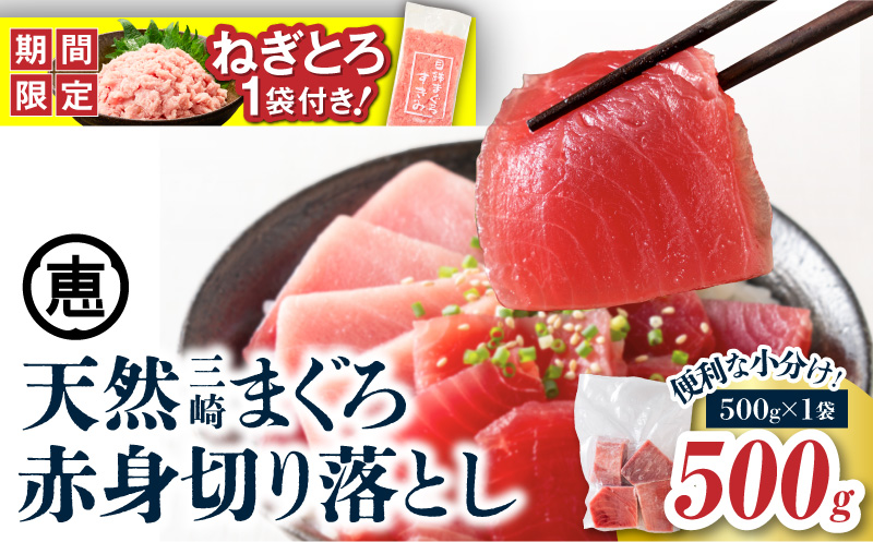 【期間限定 ねぎとろ付き】＜選べる＞天然三崎まぐろ 赤身 切落し 500g（500g×1袋）　M020-014-04-cp