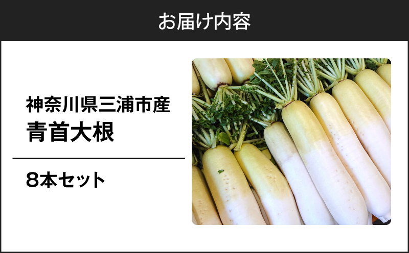 神奈川県三浦市産青首大根 8本　M109-011