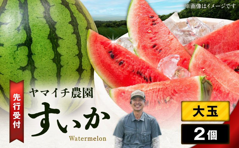 【三浦農家直送】大玉スイカ（2個入り）　M003-003