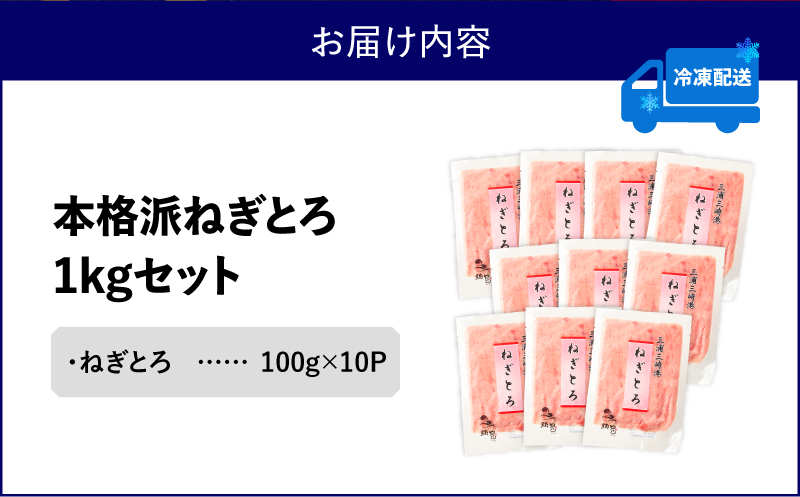 本格派ねぎとろ 100g×10パック（1kg）セット　M024-008-02