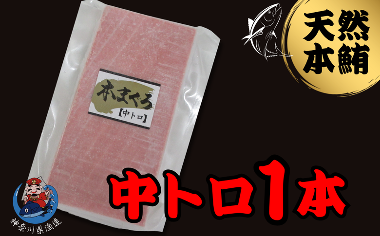 B12-013 神奈川県漁連　天然本マグロ　中トロサク