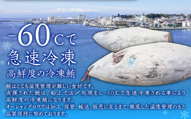 天然本鮪ネギトロ 250g×2パック　M007-005