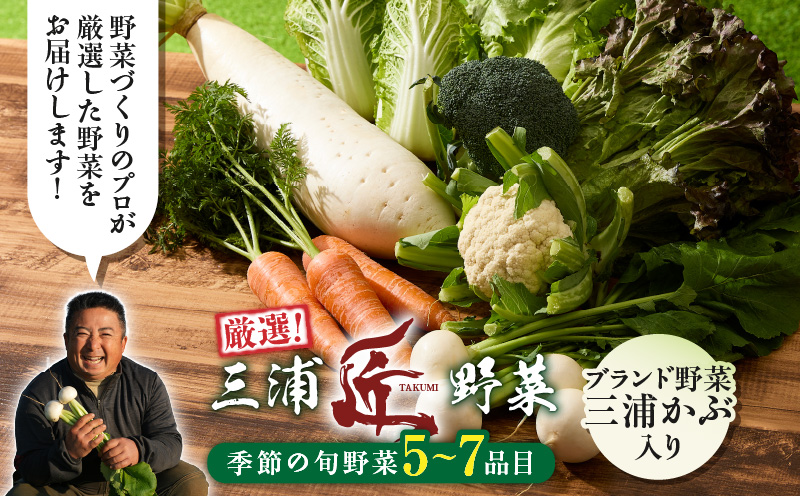 三浦の匠野菜　M127-001