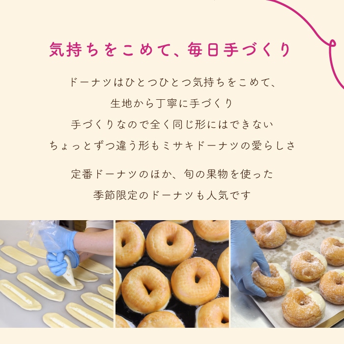 ミサキドーナツの人気ドーナツ10種詰め合わせ（冷凍）　M045-002