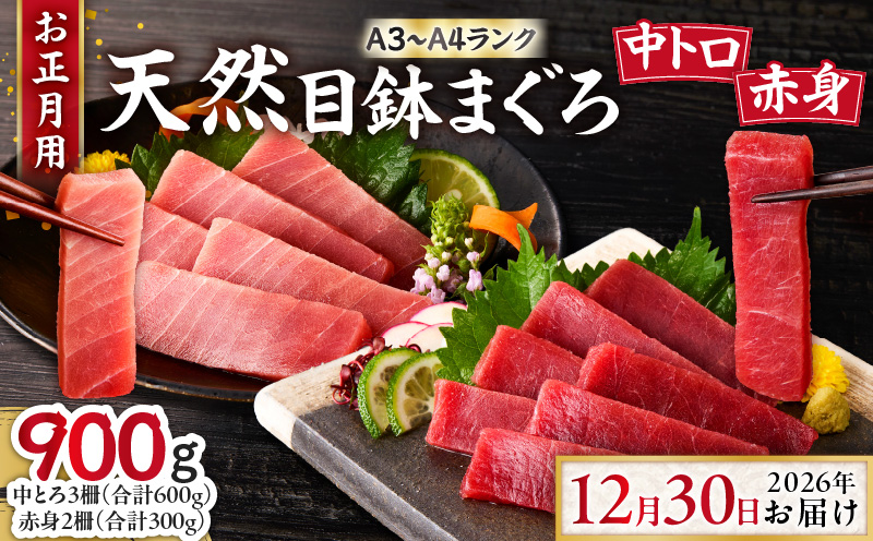 【お正月用F】天然目鉢鮪中とろ3柵・赤身2柵＜A3～A4ランク＞（2026年12月30日にお届け）　M005-053-03
