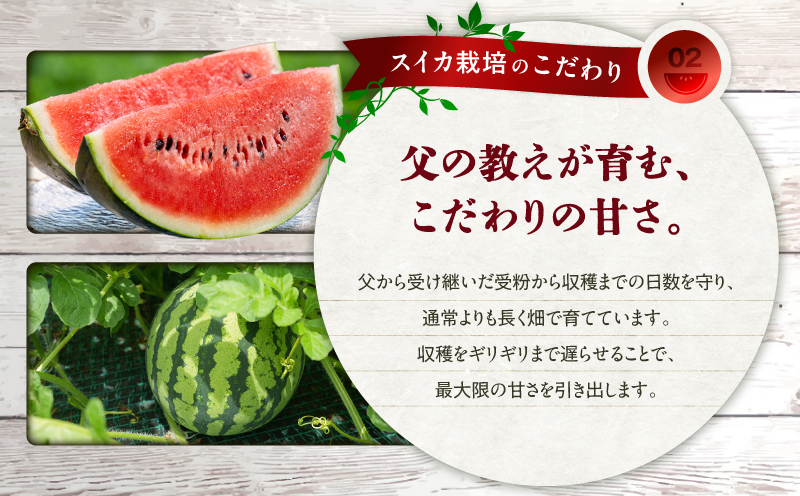 【三浦農家直送】大玉スイカ（2個入り）　M003-003