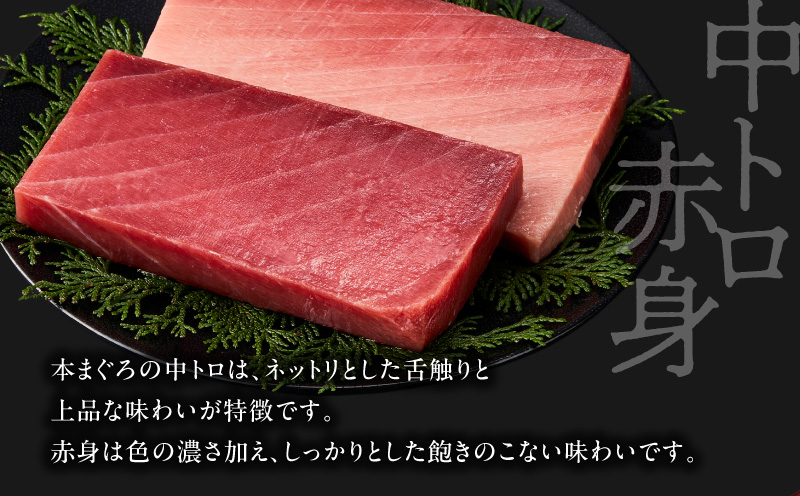 縲宣ォ伜ウカ螻九ヰ繧、繝、繝シ繧サ繝ャ繧ッ繧キ繝ァ繝ウ縲大、ゥ辟カ譛ャ縺セ縺舌m隧ー蜷医○シ懈「シ槭M038-004