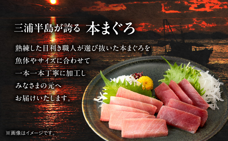 縲宣ォ伜ウカ螻九ヰ繧、繝、繝シ繧サ繝ャ繧ッ繧キ繝ァ繝ウ縲大、ゥ辟カ譛ャ縺セ縺舌m隧ー蜷医○シ懈「シ槭M038-004