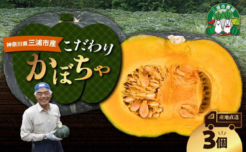 神奈川県三浦市産 三浦こだわりかぼちゃ（3個）　M109-005
