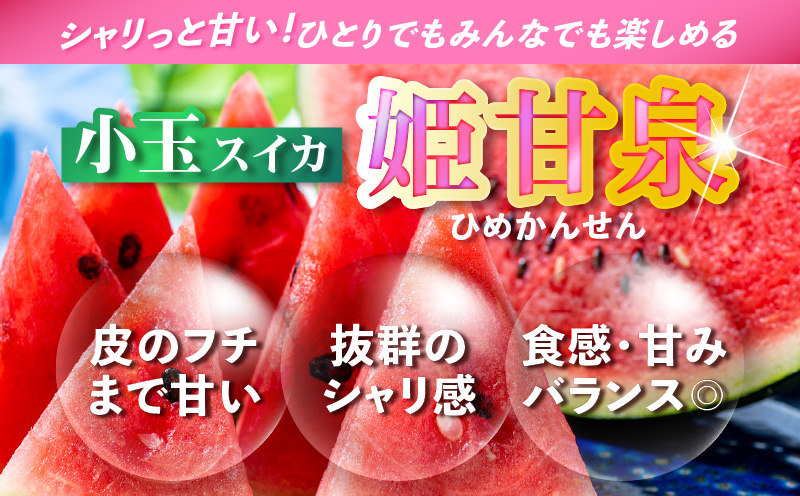 有機肥料で育てた小玉スイカ【姫甘泉】（2個入り）　M002-008