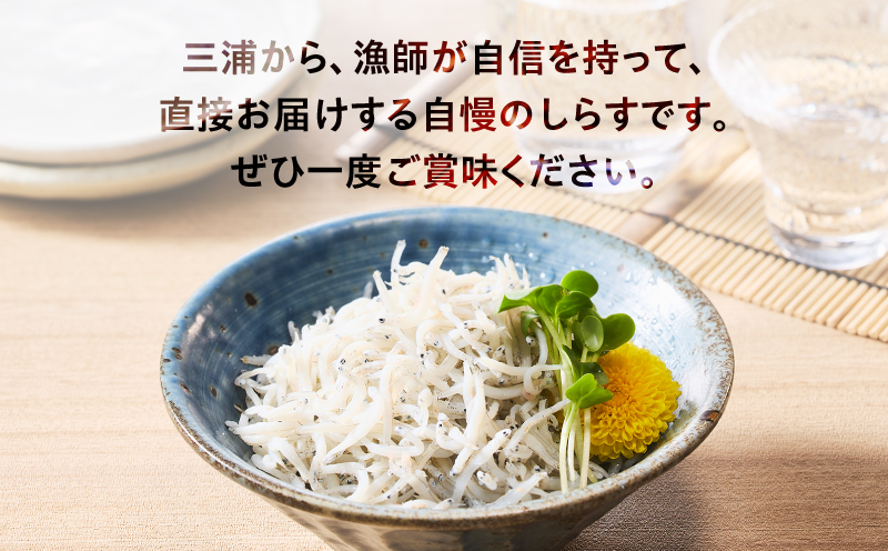 しらす漁師直売！「湘南釜揚げしらすセットA」　M050-001