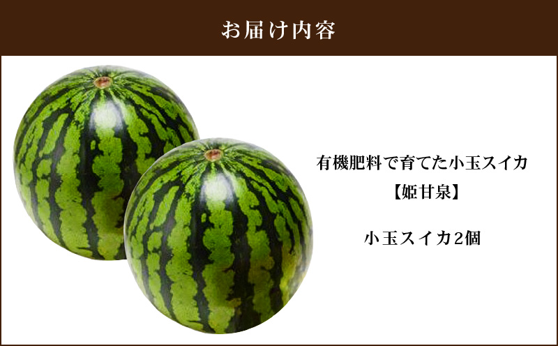 有機肥料で育てた小玉スイカ【姫甘泉】（2個入り）　M002-008