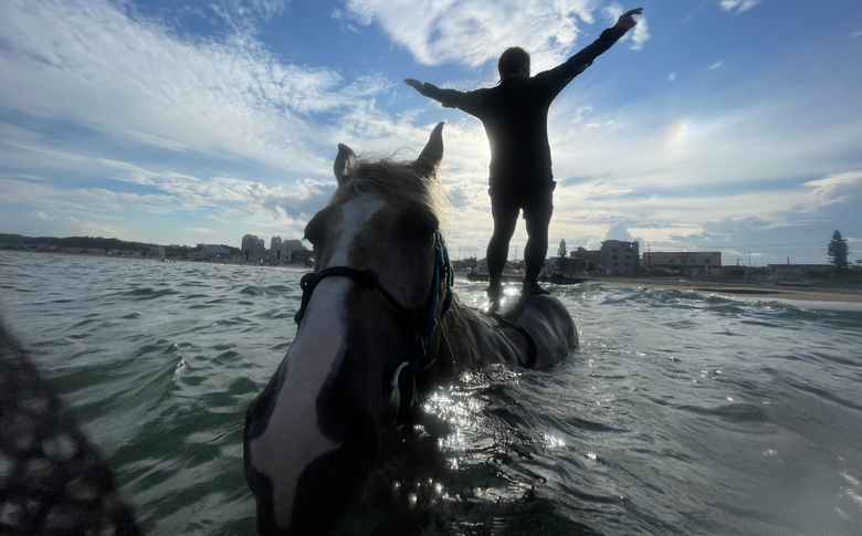 B110-002 乗るだけの乗馬から、馬と一緒に楽しむ乗馬へ 三浦の海で馬と一緒に海水浴～海馬：うみうま90分～