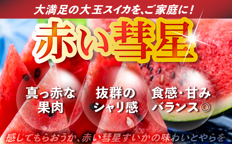 有機肥料で育てた大玉スイカ【赤い彗星】（2個入り）　M002-004