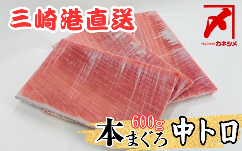 三崎マグロ 卸問屋カネシメの本鮪 中トロ 600g　M070-005