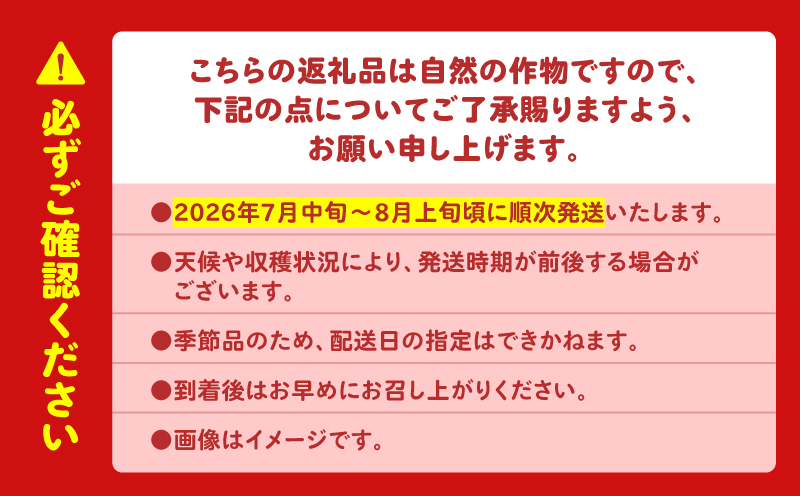 ãç³åºŠ12床以äžãã·ã£ãªããšçãäžæµŠã®ç¹å€§çã¹ã€ã« ãŸã€ãã°ãã11 çŸ
ç 5L 9kg以äžã1çãM107-002-01
