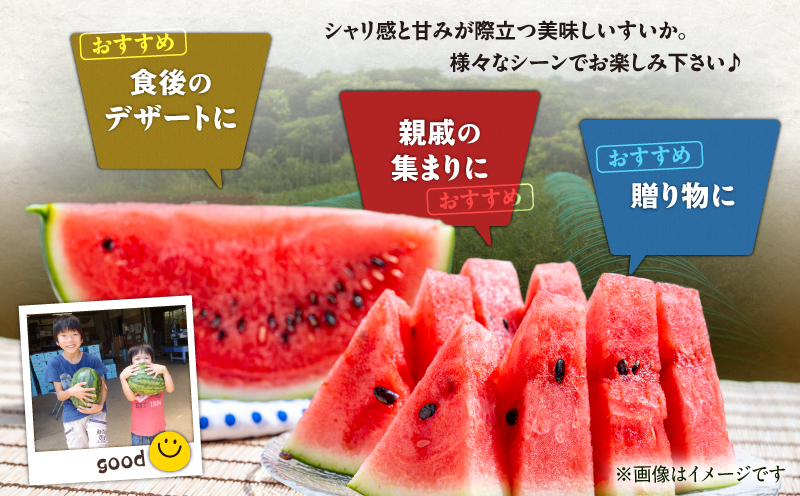 【三浦農家直送】中玉スイカ（2個入り）　M003-002