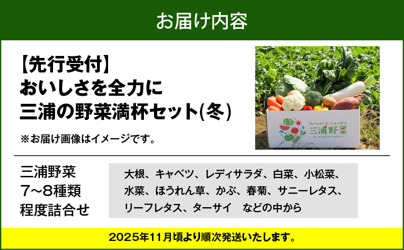 おいしさを全力に 三浦の野菜満杯セット（冬）　M109-002-01