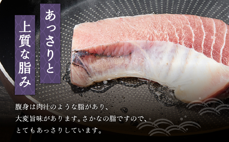 縺セ縺舌m繧ケ繝繝シ繧ュ縲M024-007