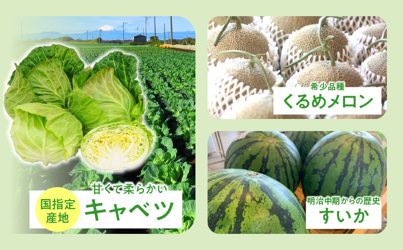 ç¥å¥å·çäžæµŠåžãè¿ç€Œåãªããå¿æŽå¯é 蟲æ¥ã«é¢ããäºæ¥ãå¿æŽïŒ1,000åïŒãMN-1000-1