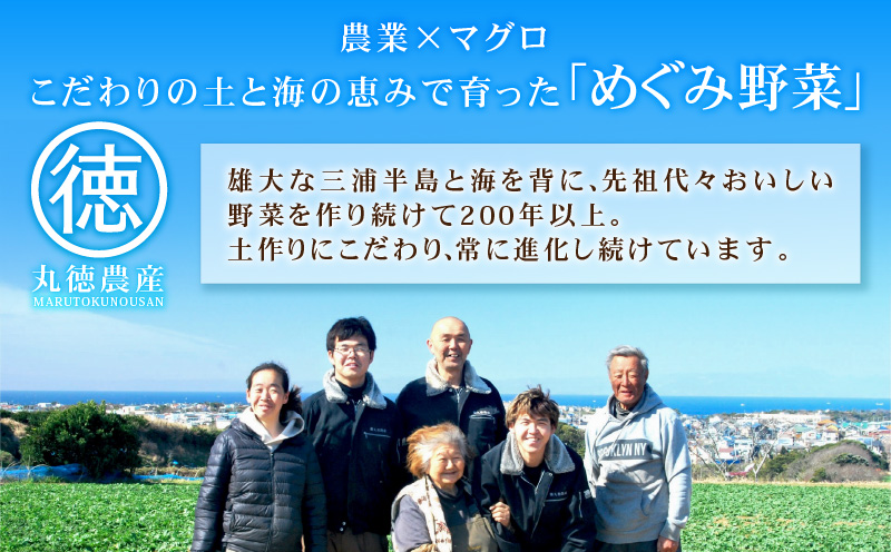 有機肥料で育てた大玉スイカ【赤い彗星】（2個入り）　M002-004