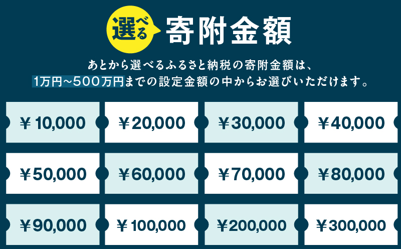 あとからセレクト【ふるさとギフト】250万円　M000-022