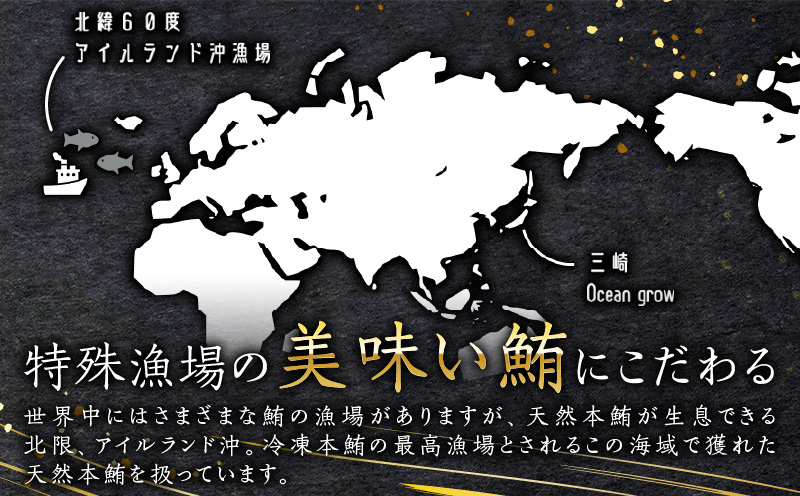 天然本鮪ネギトロ 250g×2パック　M007-005