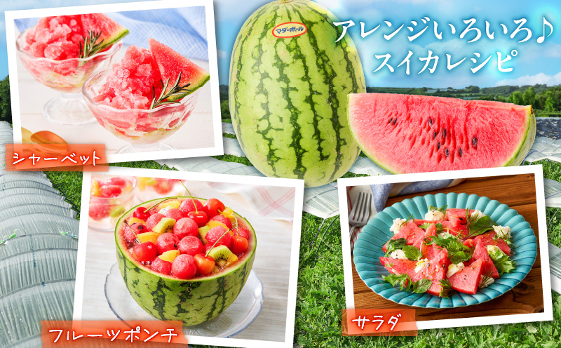 マダーボールスイカ　M001-002