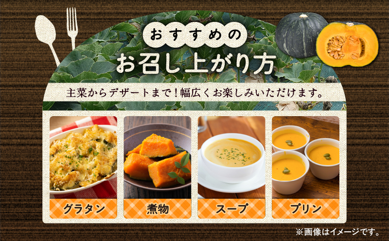 神奈川県三浦市産 三浦こだわりかぼちゃ（3個）　M109-005