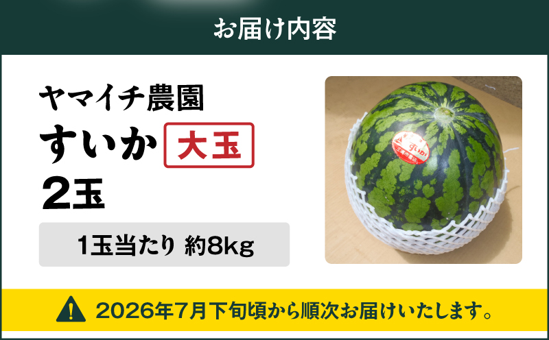 【三浦農家直送】大玉スイカ（2個入り）　M003-003