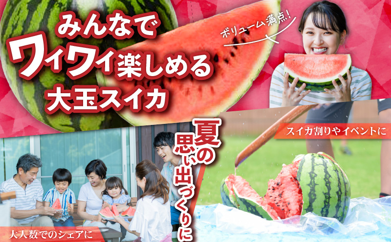 有機肥料で育てた大玉スイカ【赤い彗星】（2個入り）　M002-004
