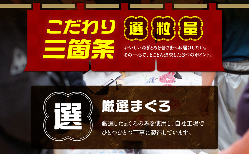 ＜三崎まぐろ ネギトロ 1kg＞便利な小分け 10食分　M070-011
