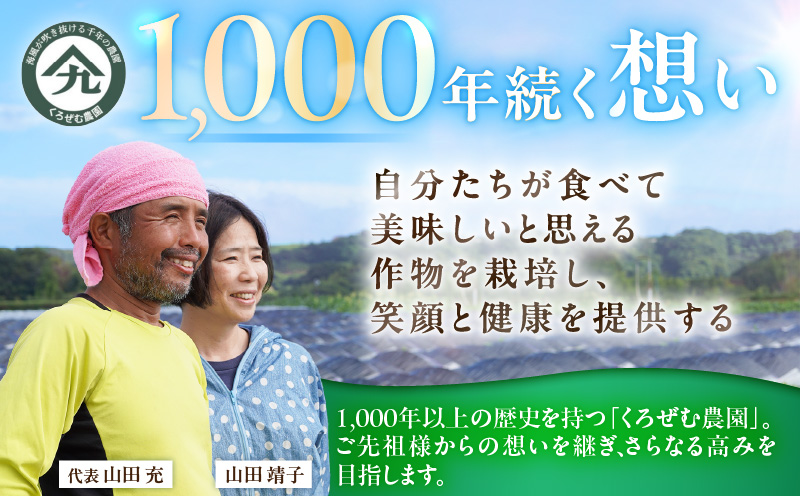 贈答用メロン　M001-001