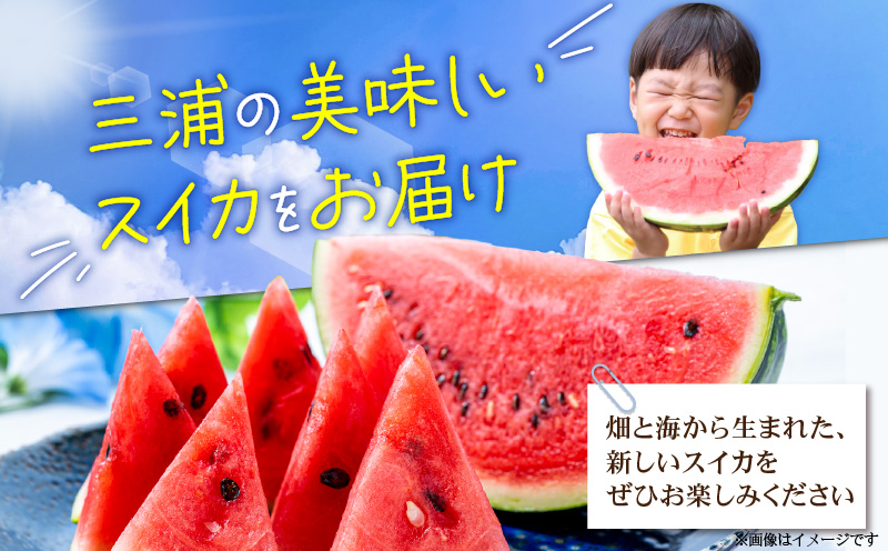 有機肥料で育てた小玉スイカ【姫甘泉】（4個入り）　M002-005