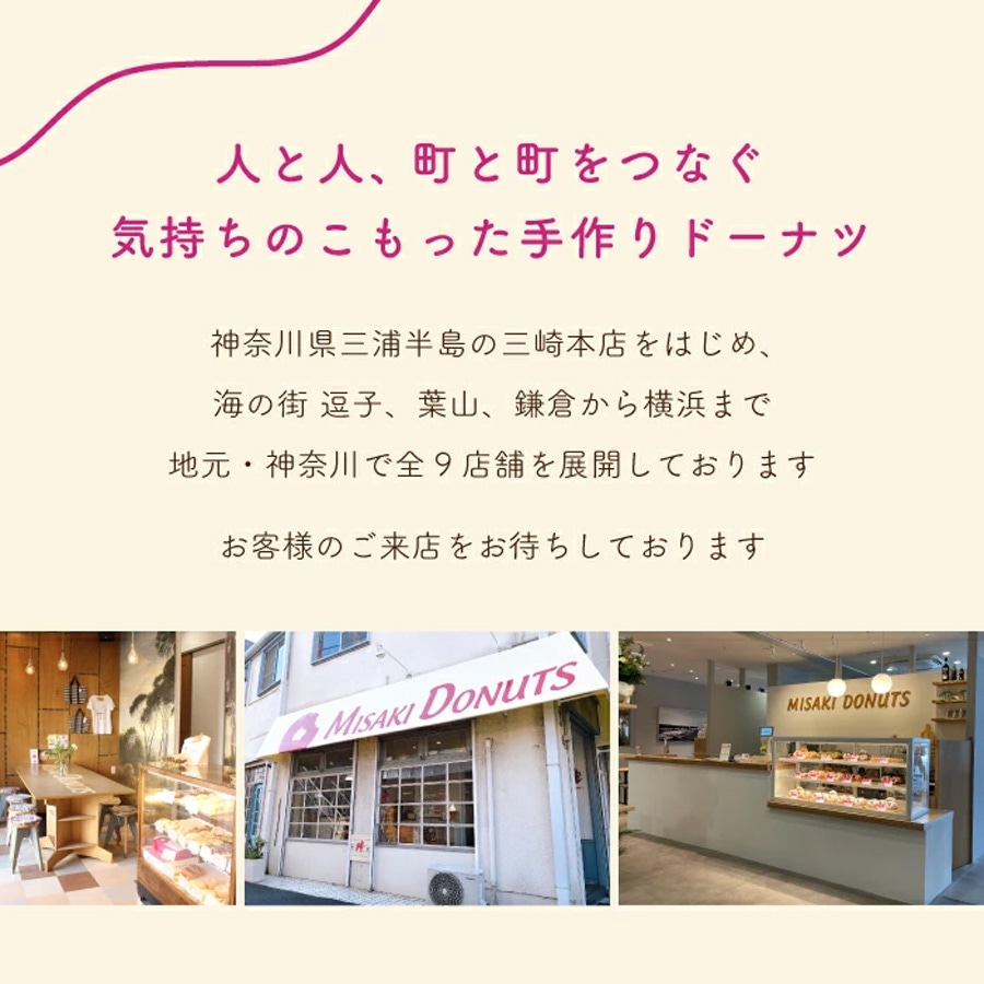 ミサキドーナツの人気ドーナツ10種詰め合わせ（冷凍）　M045-002