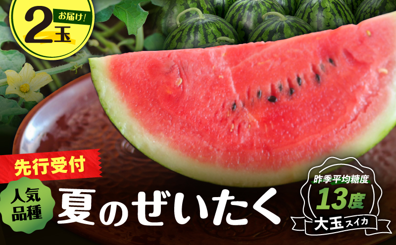 【高糖度】三浦の大玉スイカ2玉【露地栽培】　M072-001-02