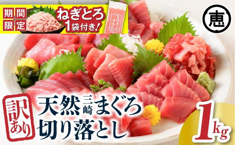 【期間限定 ねぎとろ付き】＜選べる＞＜訳あり＞天然三崎まぐろ 1kg たっぷり10人分！不揃い赤身　M020-013-cp