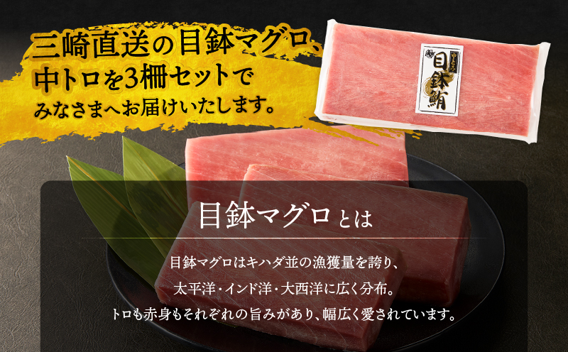 äžåŽãã°ã éŽæšæ°Žç£ å€©ç¶ãã°ãïŒäžãã3æµïŒã»ãããM105-003