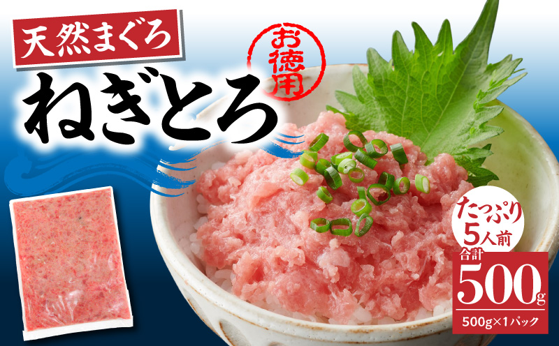 【神奈川県漁連】＜お徳用＞天然まぐろ ねぎとろ 500g　M077-011-01