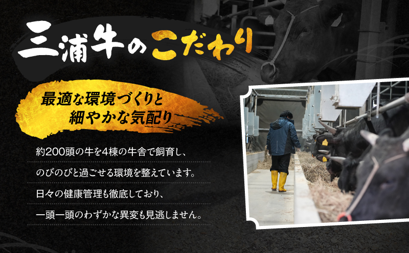 三浦牛切り落とし・三浦牛コロッケ詰め合わせセット　M082-001
