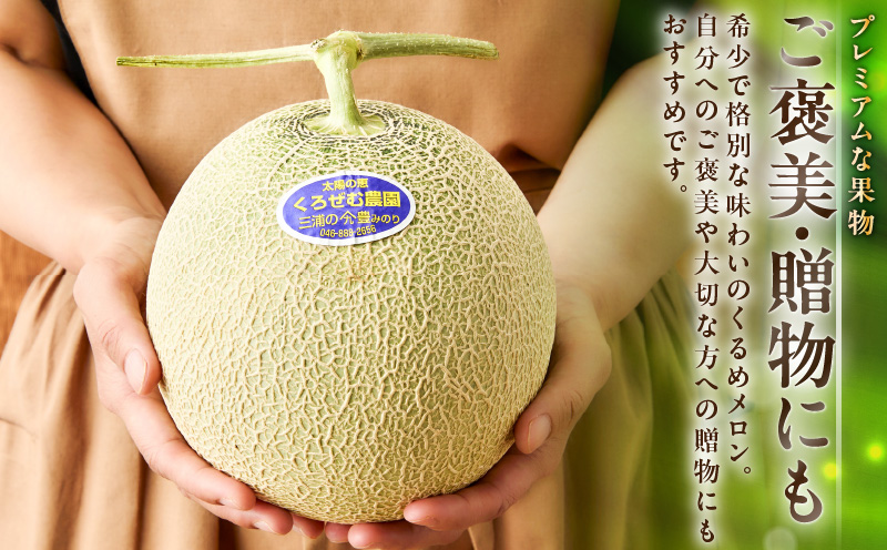 贈答用メロン　M001-001