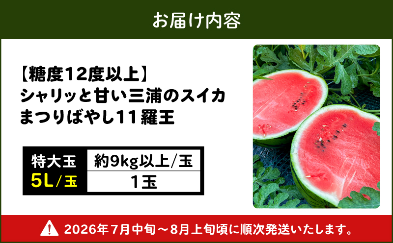 ãç³åºŠ12床以äžãã·ã£ãªããšçãäžæµŠã®ç¹å€§çã¹ã€ã« ãŸã€ãã°ãã11 çŸ
ç 5L 9kg以äžã1çãM107-002-01
