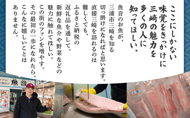 三崎魚音の味 おたのしみセット　M006-021