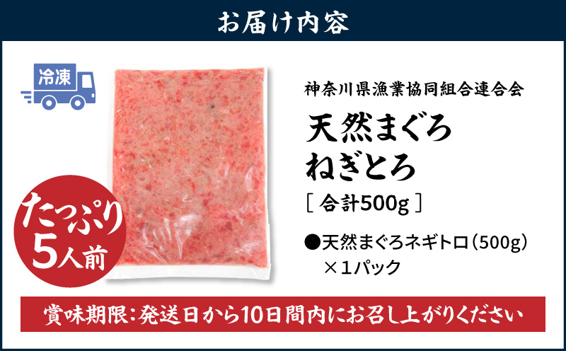 【神奈川県漁連】＜お徳用＞天然まぐろ ねぎとろ 500g　M077-011-01