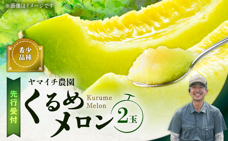【三浦農家直送】くるめメロン（2個入り）　M003-006