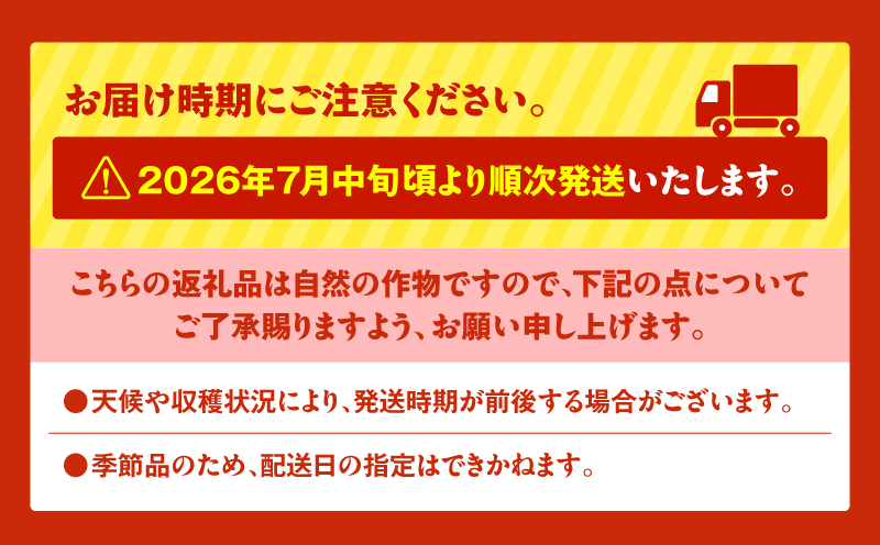 ãäžæµŠèŸ²å®¶çŽéãå°çã¹ã€ã«ïŒ4åå
¥ãïŒãM003-001