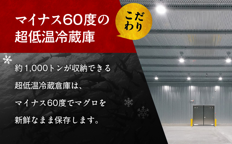 äžåŽãã°ã éŽæšæ°Žç£ å€©ç¶ãã°ãïŒäžãã3æµïŒã»ãããM105-003