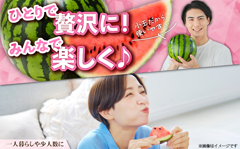 有機肥料で育てた小玉スイカ【姫甘泉】（4個入り）　M002-005